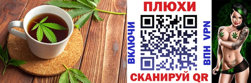 omg сайт  Гудермес  Canna-Cookies марихуана 