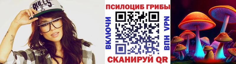 Галлюциногенные грибы прущие грибы  ОМГ ОМГ как войти  Гудермес 